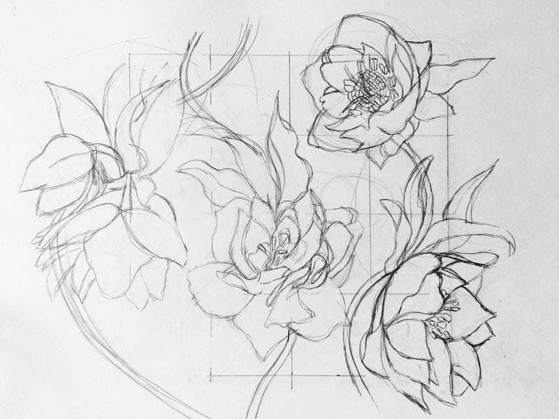pencil sketch of flowers on paper